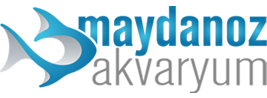 Maydanoz Akvaryum